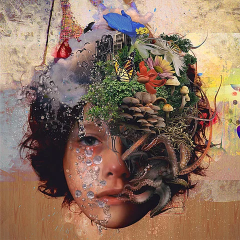 Collage.jpg