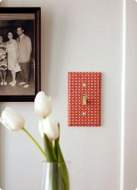 light-switch-repro.jpg