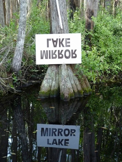 tumblr_lkz5mlZF3t1qz7lxdo1_500.jpg
