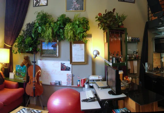 plant.wall.3_rect540_rect540.jpg