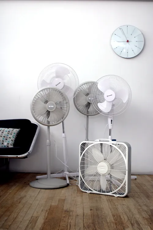 fanily02.jpg